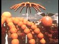 مهرجان البرتقال 